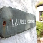 Laurel * Ulverston